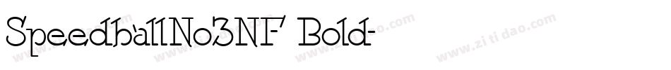 SpeedballNo3NF Bold字体转换